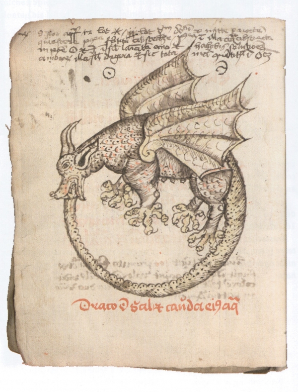 (UB / LMB Kassel, 4 ° Ms. Chem. 83, S. 1 ͮ)  Hier sehen wir einen Ouroboros, d. h. einer der seinen eigenen Schwanz verschlingt. Dadurch wird der ewige Kreislauf von Vernichtung und Wiederkehr symbolisiert. 